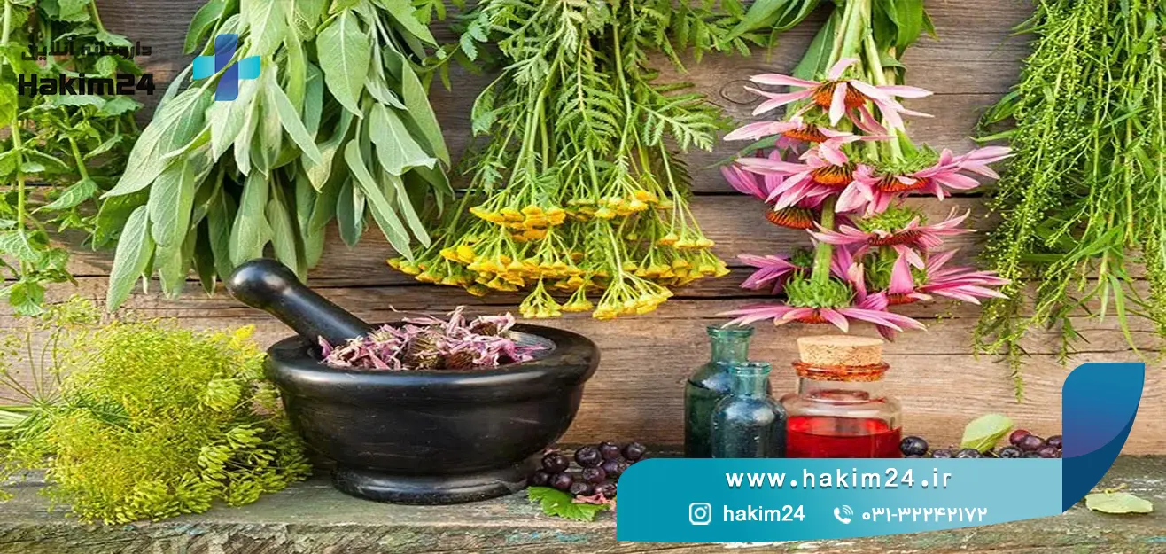 بهترین دمنوش‌ها و گیاهان دارویی برای کاهش استرس