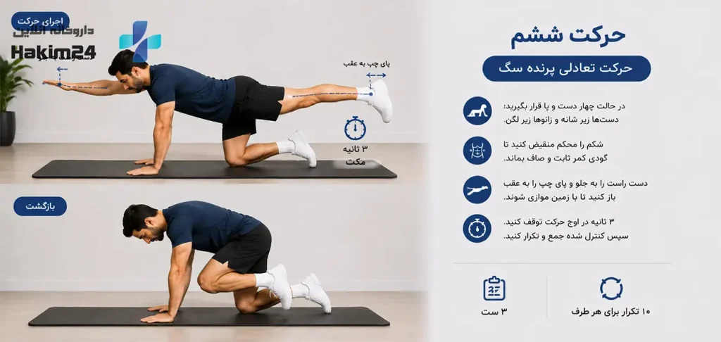 اجرای حرکت پرنده سگ چهار دست و پا برای تعادل و ثبات عضلات عمقی ستون فقرات