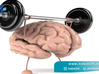 روش های تقویت حافظه و تمرکز