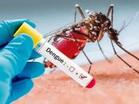 Dengue-Fever